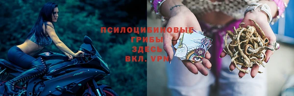 первитин Богородицк