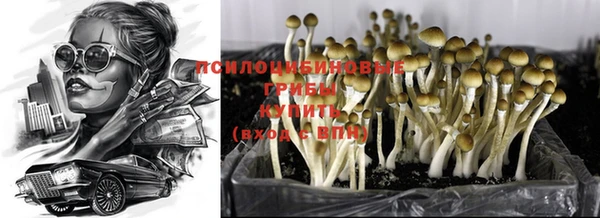 наркотики Богданович