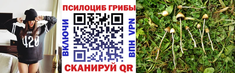 Галлюциногенные грибы мицелий Малая Вишера