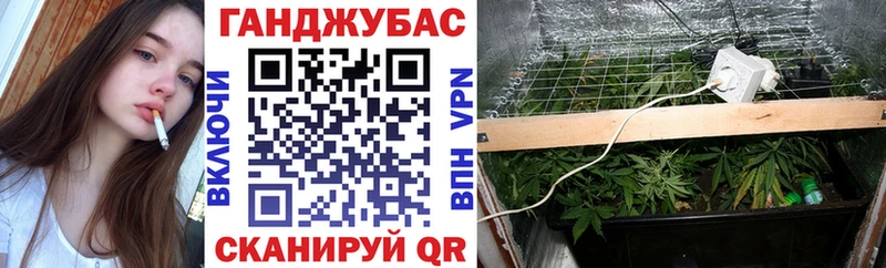 Шишки марихуана индика  omg рабочий сайт  Малая Вишера 